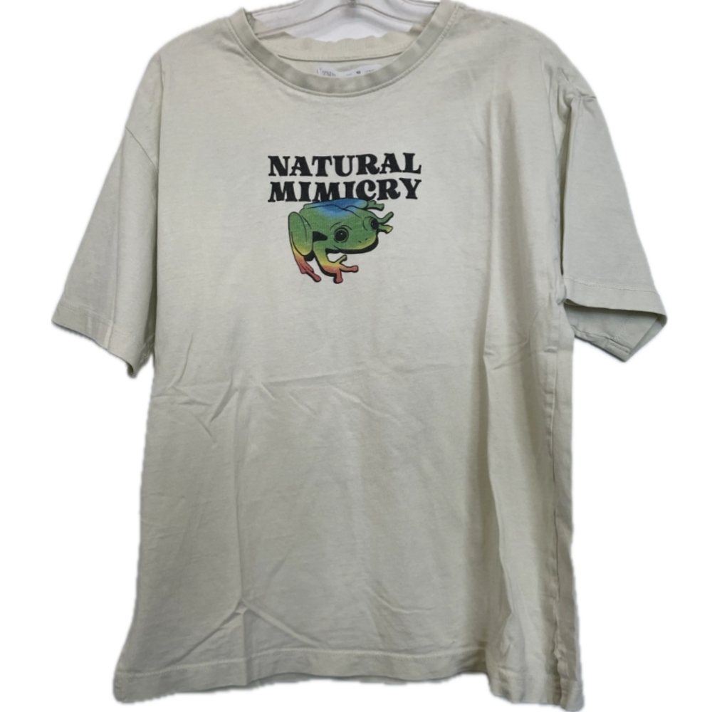 🌞4/20$ ZAra Graphic T-Shirt